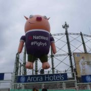 Pigby tethered at cricket ground