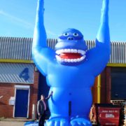 Huge blue gorilla for hire