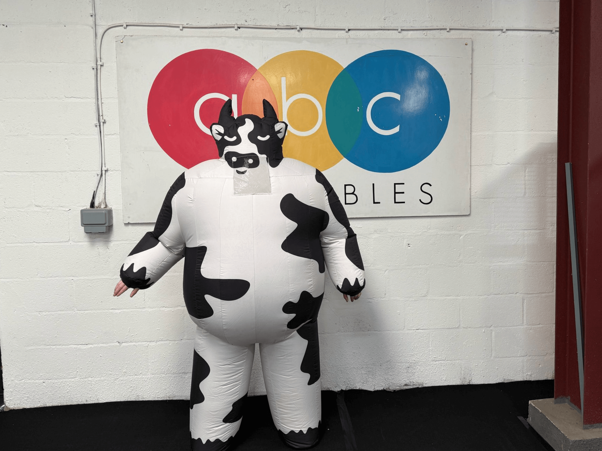 branded inflatable costume (1)